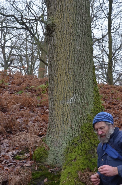 2011 12 A la découverte des lichens 38